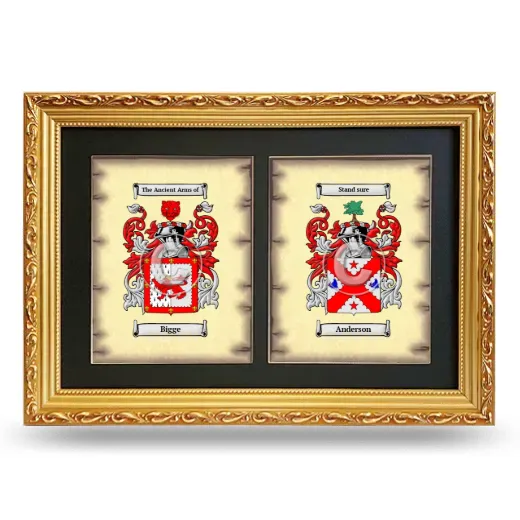 Double Coat of Arms Framed - Gold