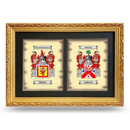 Double Coat of Arms Framed - Gold