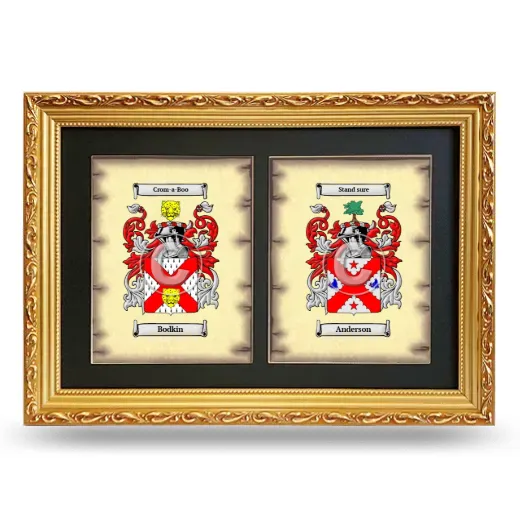 Double Coat of Arms Framed - Gold
