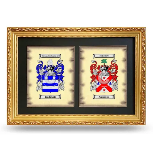 Double Coat of Arms Framed - Gold