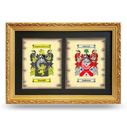 Double Coat of Arms Framed - Gold
