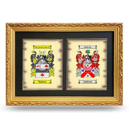 Double Coat of Arms Framed - Gold