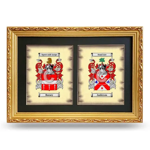 Double Coat of Arms Framed - Gold