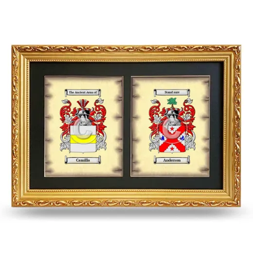 Double Coat of Arms Framed - Gold