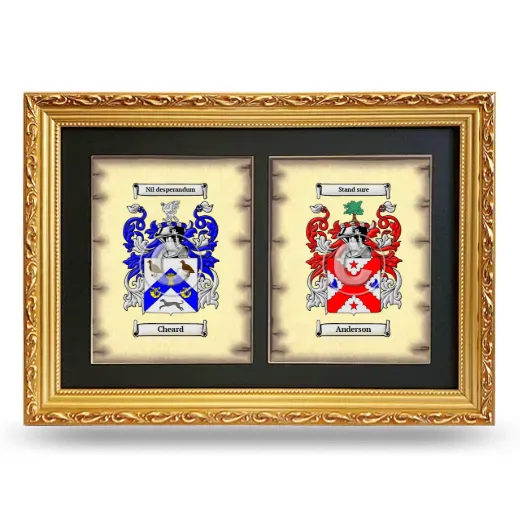 Double Coat of Arms Framed - Gold