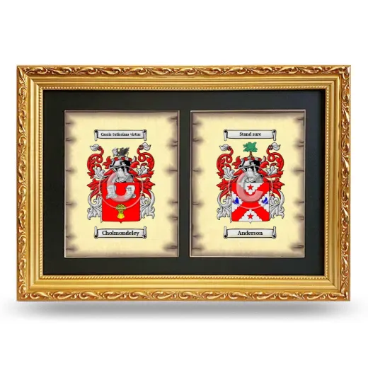 Double Coat of Arms Framed - Gold