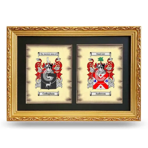 Double Coat of Arms Framed - Gold