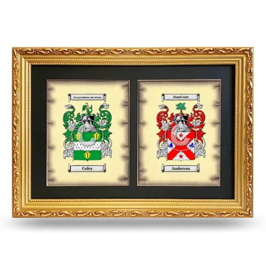 Double Coat of Arms Framed - Gold