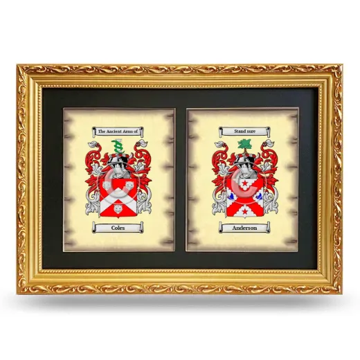 Double Coat of Arms Framed - Gold