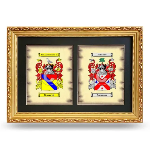 Double Coat of Arms Framed - Gold
