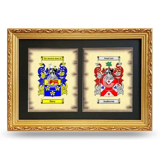 Double Coat of Arms Framed - Gold