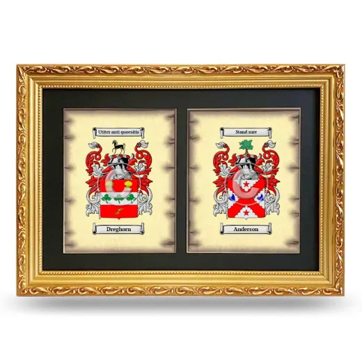 Double Coat of Arms Framed - Gold