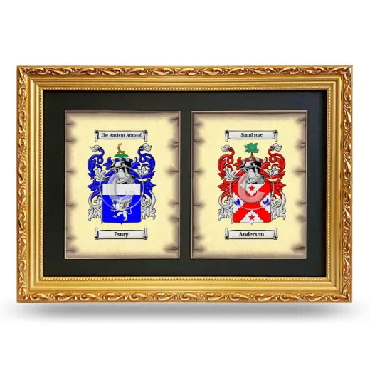 Double Coat of Arms Framed - Gold