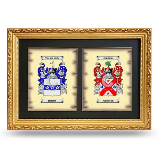 Double Coat of Arms Framed - Gold
