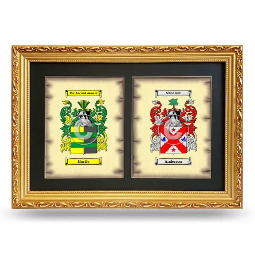 Double Coat of Arms Framed - Gold