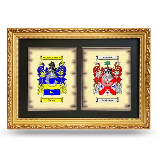 Double Coat of Arms Framed - Gold