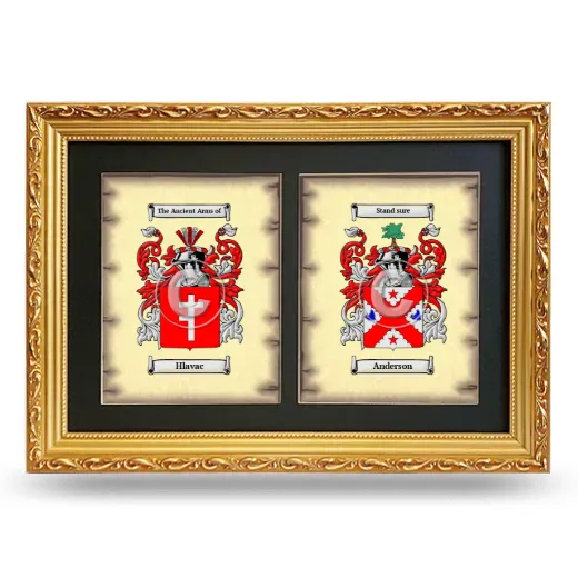 Double Coat of Arms Framed - Gold