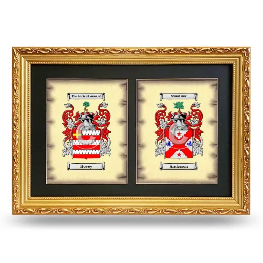 Double Coat of Arms Framed - Gold