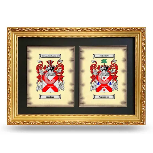 Double Coat of Arms Framed - Gold