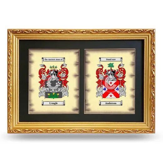 Double Coat of Arms Framed - Gold