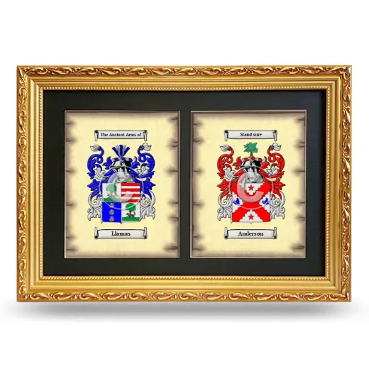 Double Coat of Arms Framed - Gold