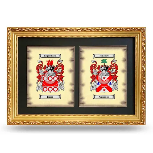 Double Coat of Arms Framed - Gold