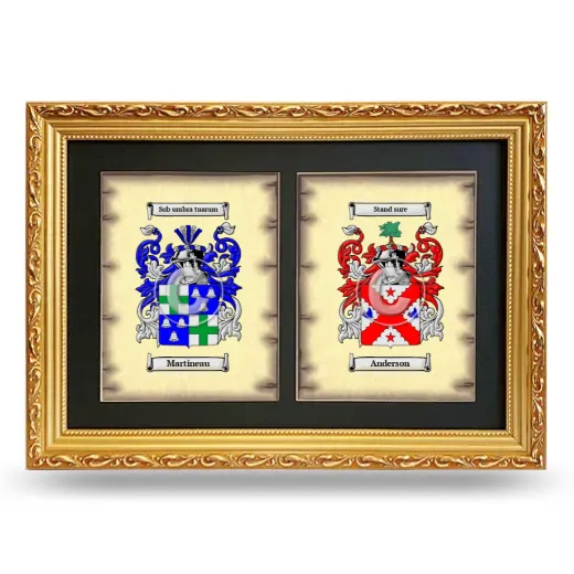 Double Coat of Arms Framed - Gold