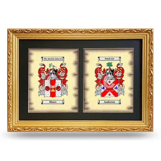 Double Coat of Arms Framed - Gold