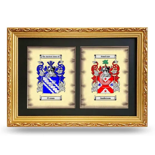 Double Coat of Arms Framed - Gold