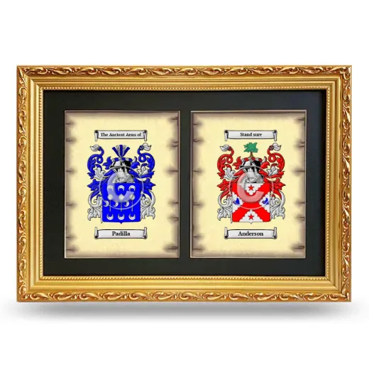 Double Coat of Arms Framed - Gold