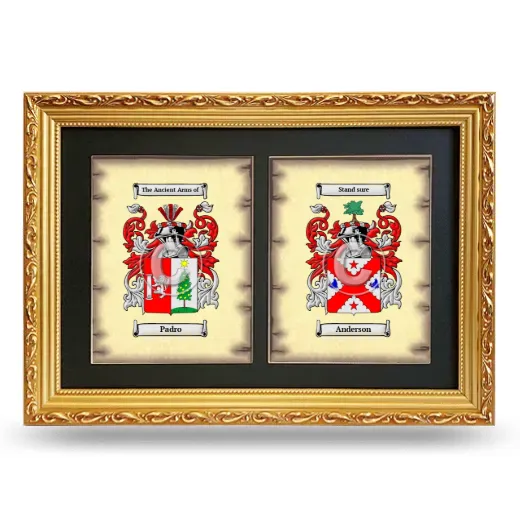 Double Coat of Arms Framed - Gold