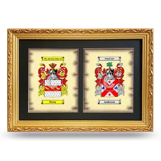 Double Coat of Arms Framed - Gold
