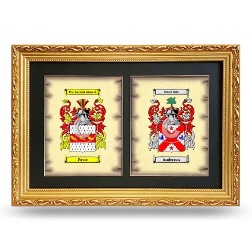 Double Coat of Arms Framed - Gold