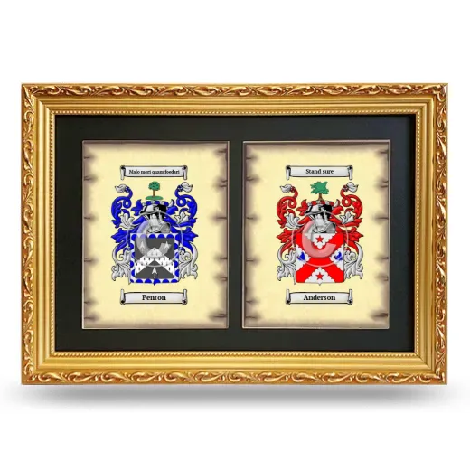 Double Coat of Arms Framed - Gold