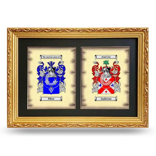 Double Coat of Arms Framed - Gold