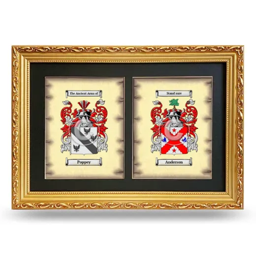 Double Coat of Arms Framed - Gold