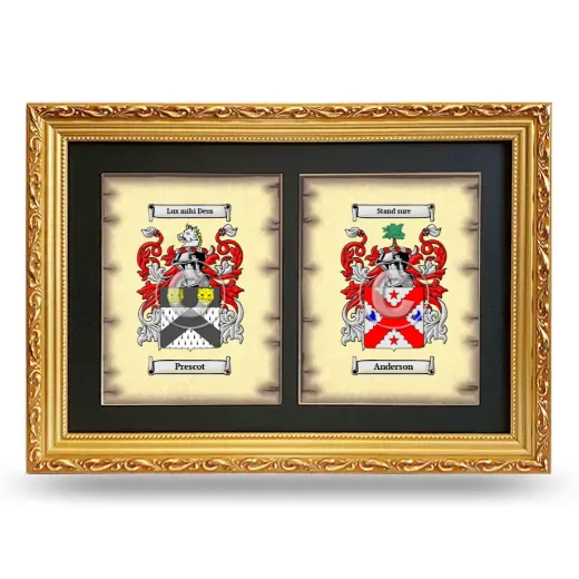 Double Coat of Arms Framed - Gold