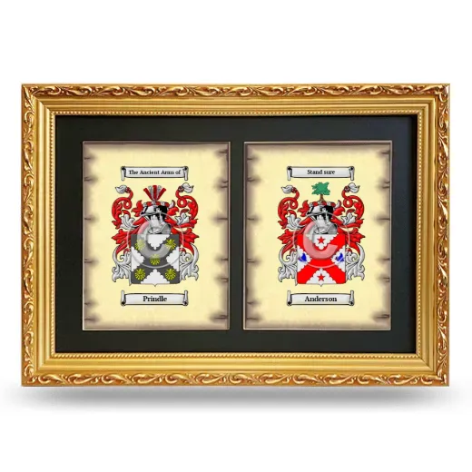 Double Coat of Arms Framed - Gold