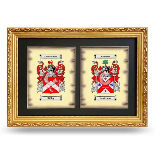 Double Coat of Arms Framed - Gold