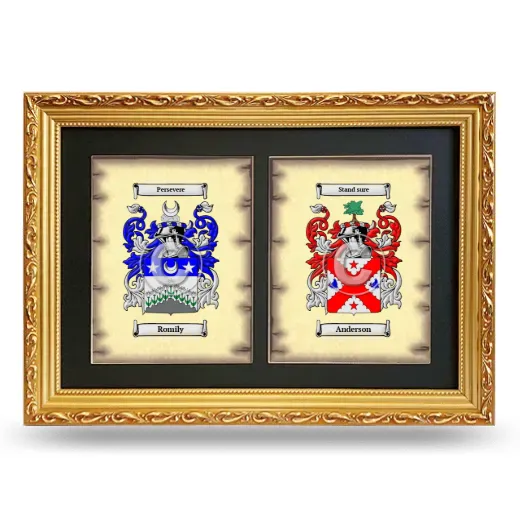Double Coat of Arms Framed - Gold