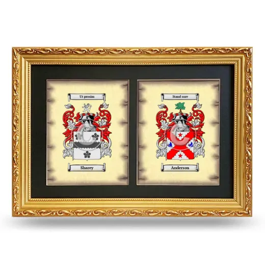 Double Coat of Arms Framed - Gold