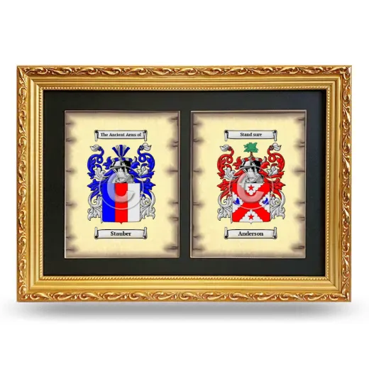 Double Coat of Arms Framed - Gold