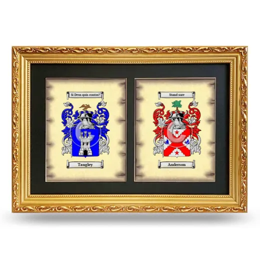 Double Coat of Arms Framed - Gold