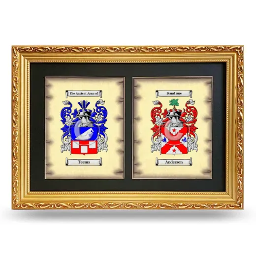 Double Coat of Arms Framed - Gold