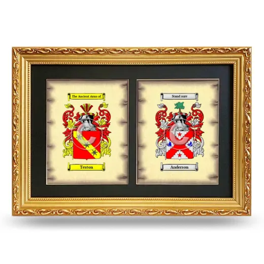 Double Coat of Arms Framed - Gold