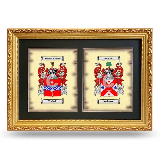Double Coat of Arms Framed - Gold