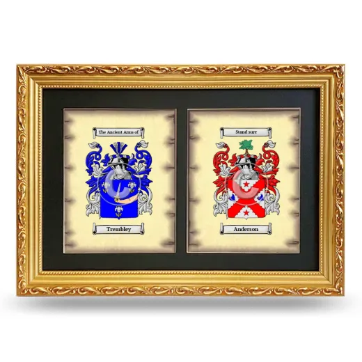 Double Coat of Arms Framed - Gold