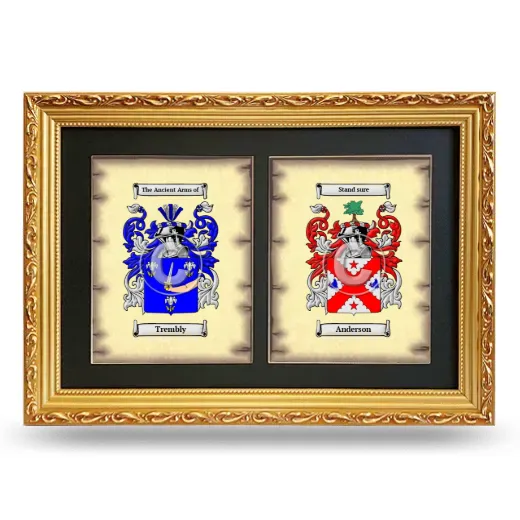 Double Coat of Arms Framed - Gold