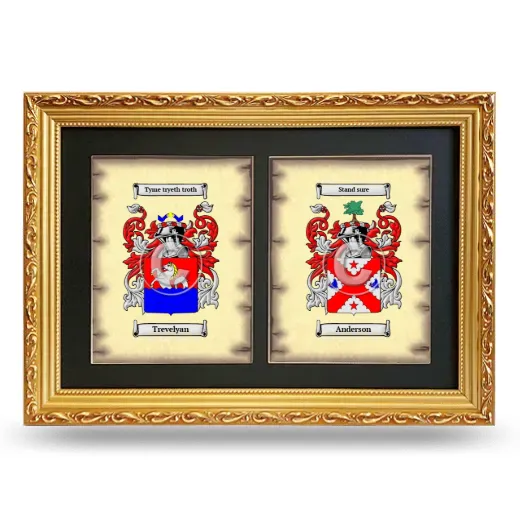Double Coat of Arms Framed - Gold