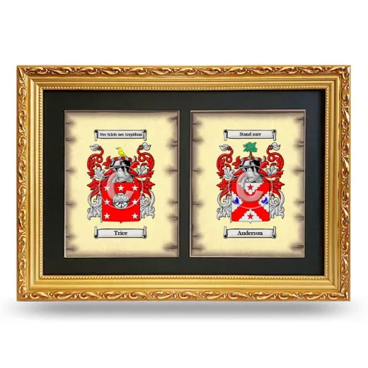 Double Coat of Arms Framed - Gold
